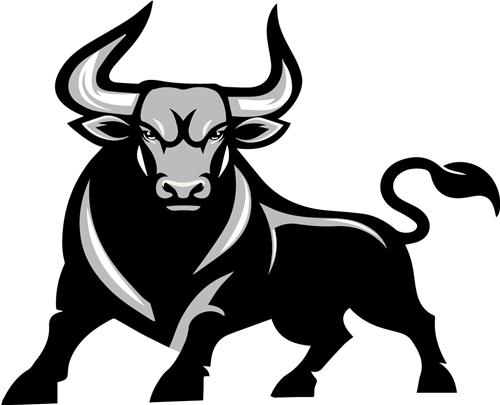 Black and Silver Bull